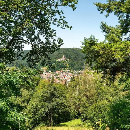 Apartment 1-zimmer Am Hochwald
