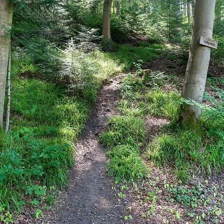 1-zimmer Am Hochwald